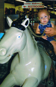 bronc6